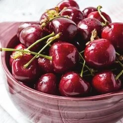 Cherry 'Stella' Bare Root -Tulip Bloom 2207