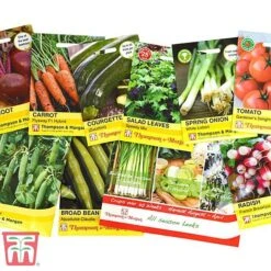 Grow Your Own Bumper Pack 6 Grow Your Own Bumper Pack -Tulip Bloom GROW WKB9279 C