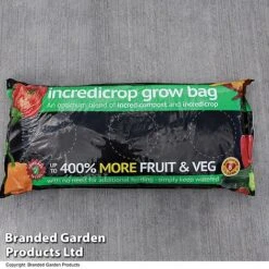 Grow Your Own Strawberry Collection -Tulip Bloom GROW INCREDICR T07675