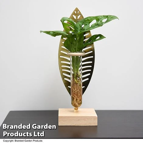 Hydroponic Collection On Display Stand 2 Hydroponic Collection On Display Stand - Image 2