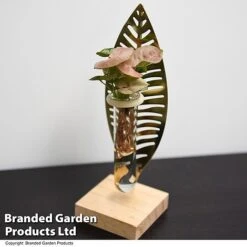 Hydroponic Collection On Display Stand 6 Hydroponic Collection On Display Stand -Tulip Bloom HYDR COLLDISPL T49399