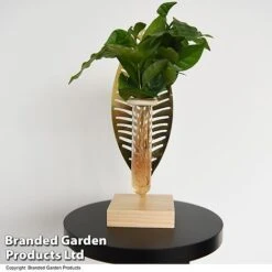 Hydroponic Collection On Display Stand 7 Hydroponic Collection On Display Stand -Tulip Bloom HYDR COLLDISPL T49401