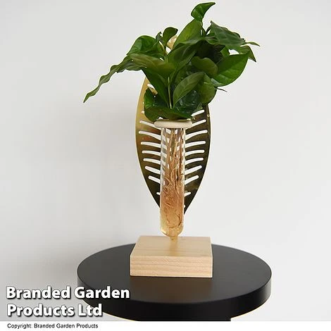 Hydroponic Collection On Display Stand 4 Hydroponic Collection On Display Stand - Image 4