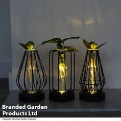 Hydroponic Collection In Turin Glass -Tulip Bloom HYDR LEDTURING T49876