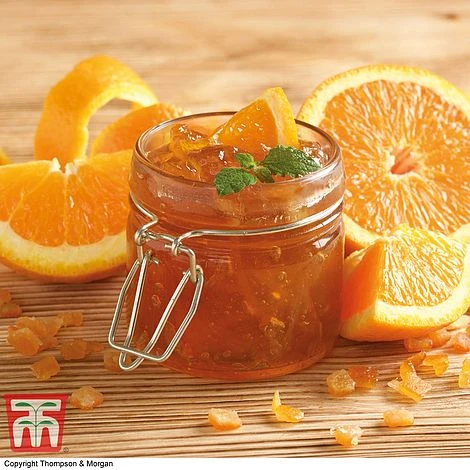 The Marmalade Collection - Gift 1 The Marmalade Collection - Gift