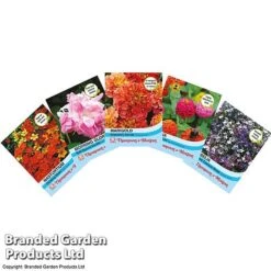 Nurserymans Choice Perennial Mix 36 Plugs + 5 Seeds -Tulip Bloom NURS WKF0172 B