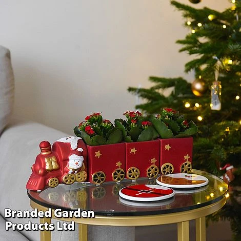 Train Set - Gift 1 Train Set - Gift