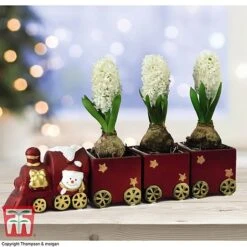 Train Set - Gift 7 Train Set - Gift -Tulip Bloom TRAI WGKB7083 A