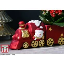Train Set - Gift 8 Train Set - Gift -Tulip Bloom TRAI WGKB7083 C