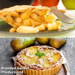 Fruit Tree Staple Duo 5 Fruit Tree Staple Duo -Tulip Bloom appe