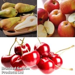 Mini Orchard Pie Trio -Tulip Bloom fruit3b